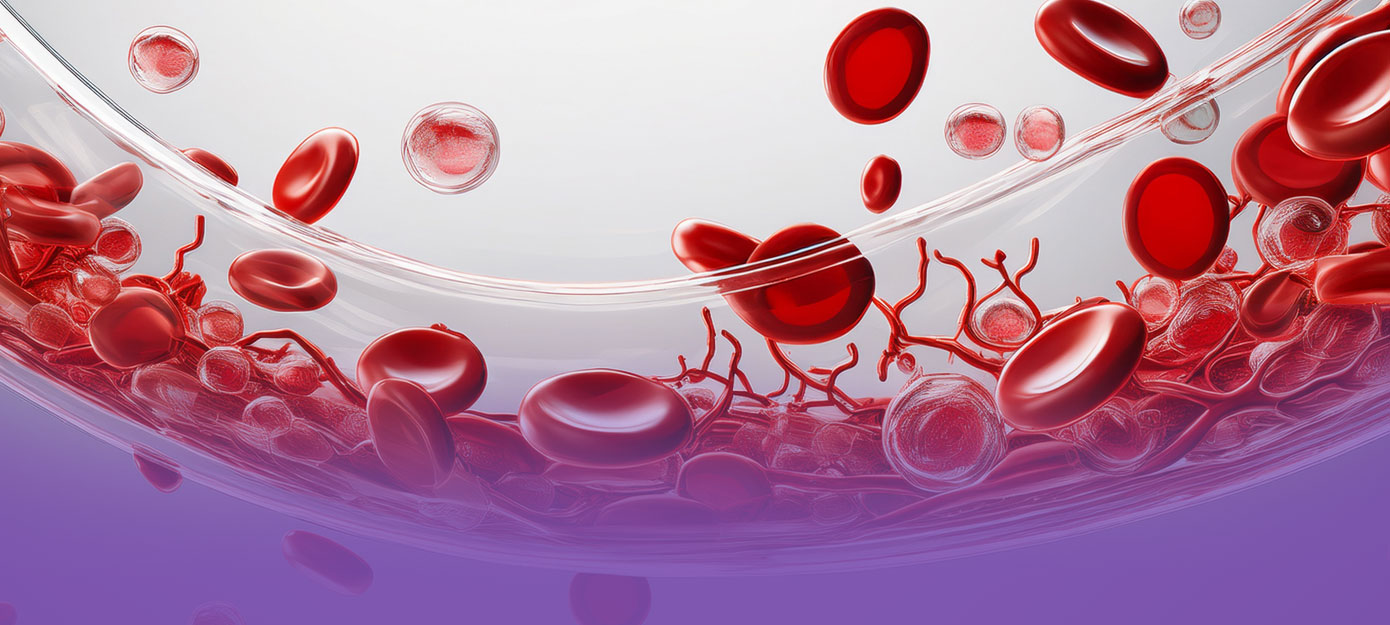 Darstellung von roten Blutkörperchen, Plasma und Thrombozyten 