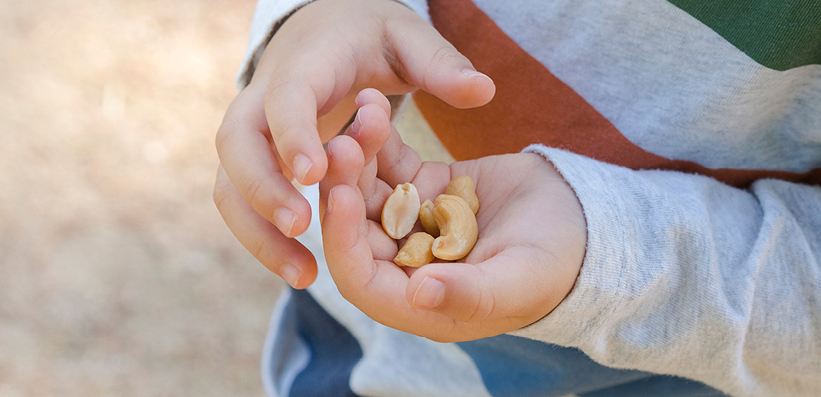 Porträt eines Jungen mit Haselnüssen