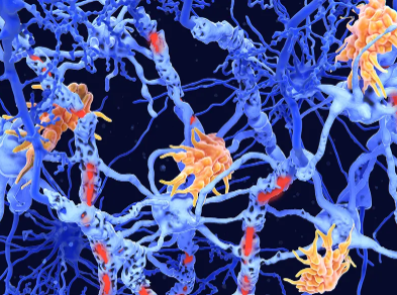 Grafische Darstellung von Nervenfasern