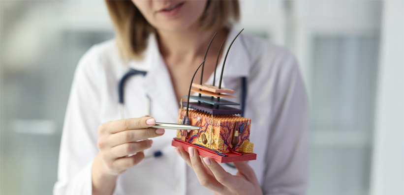 Anatomisches Hautmodell zur CME-Fortbildung über atopische Dermatitis bei Kindern und Erwachsenen