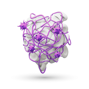 3D Ansicht einer Lunge