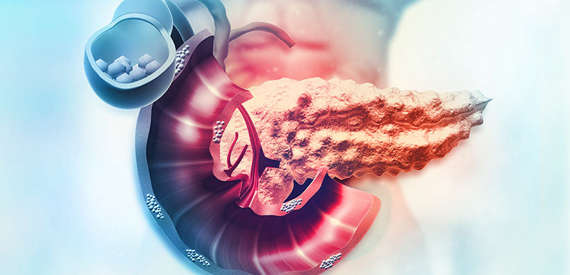 Darstellung des Pankreas und umgebende Organe